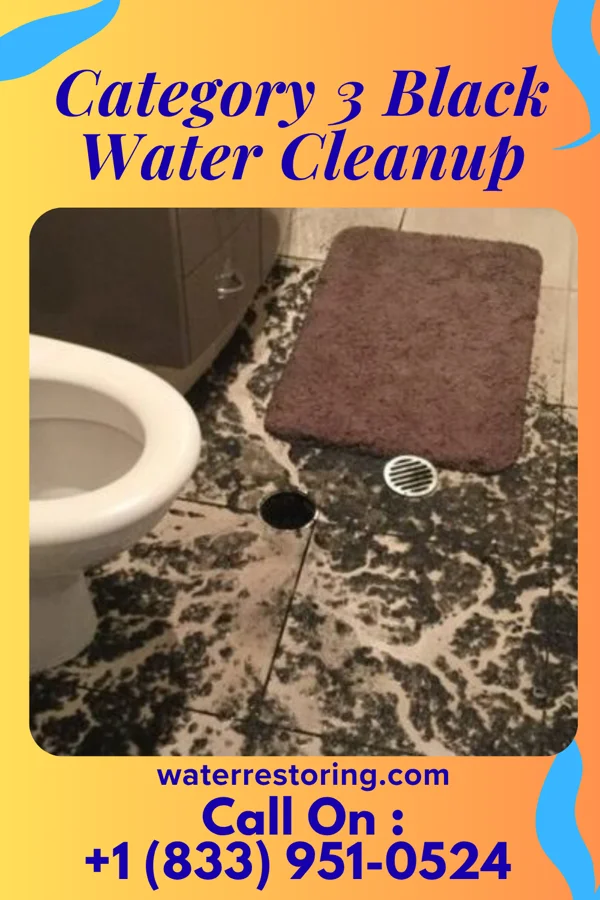 Category 3 Black Water Cleanup in Poway, CA